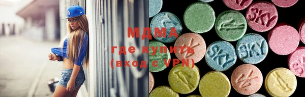 ПСИЛОЦИБИНОВЫЕ ГРИБЫ Магас