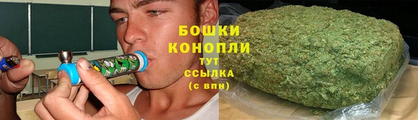 ПСИЛОЦИБИНОВЫЕ ГРИБЫ Магас