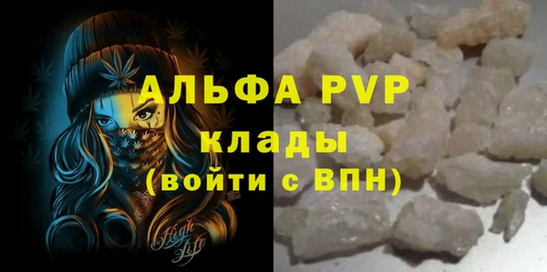 ПСИЛОЦИБИНОВЫЕ ГРИБЫ Магас
