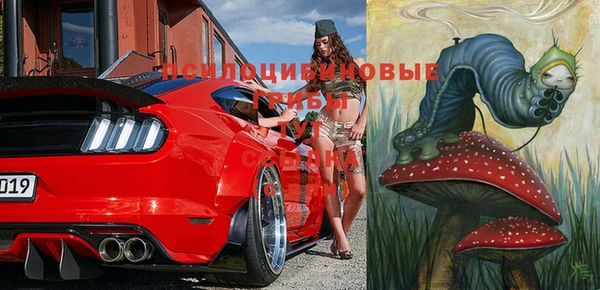 ПСИЛОЦИБИНОВЫЕ ГРИБЫ Магас
