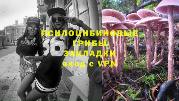 спиды Магадан