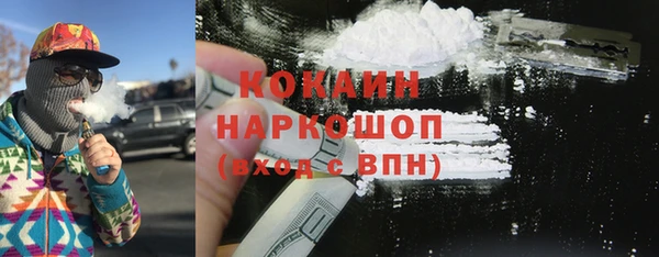 ПСИЛОЦИБИНОВЫЕ ГРИБЫ Магас