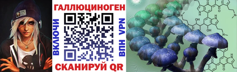 продажа наркотиков  Межгорье  гидра онион  Галлюциногенные грибы Psilocybe 